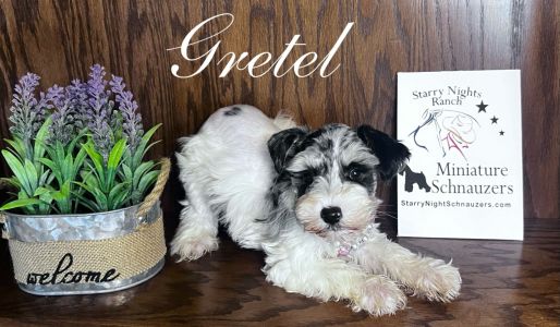 Gretel