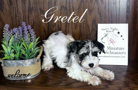 Gretel