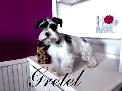 Gretel