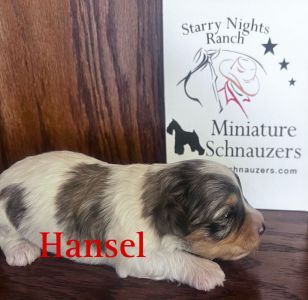 Hansel