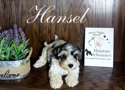 Hansel